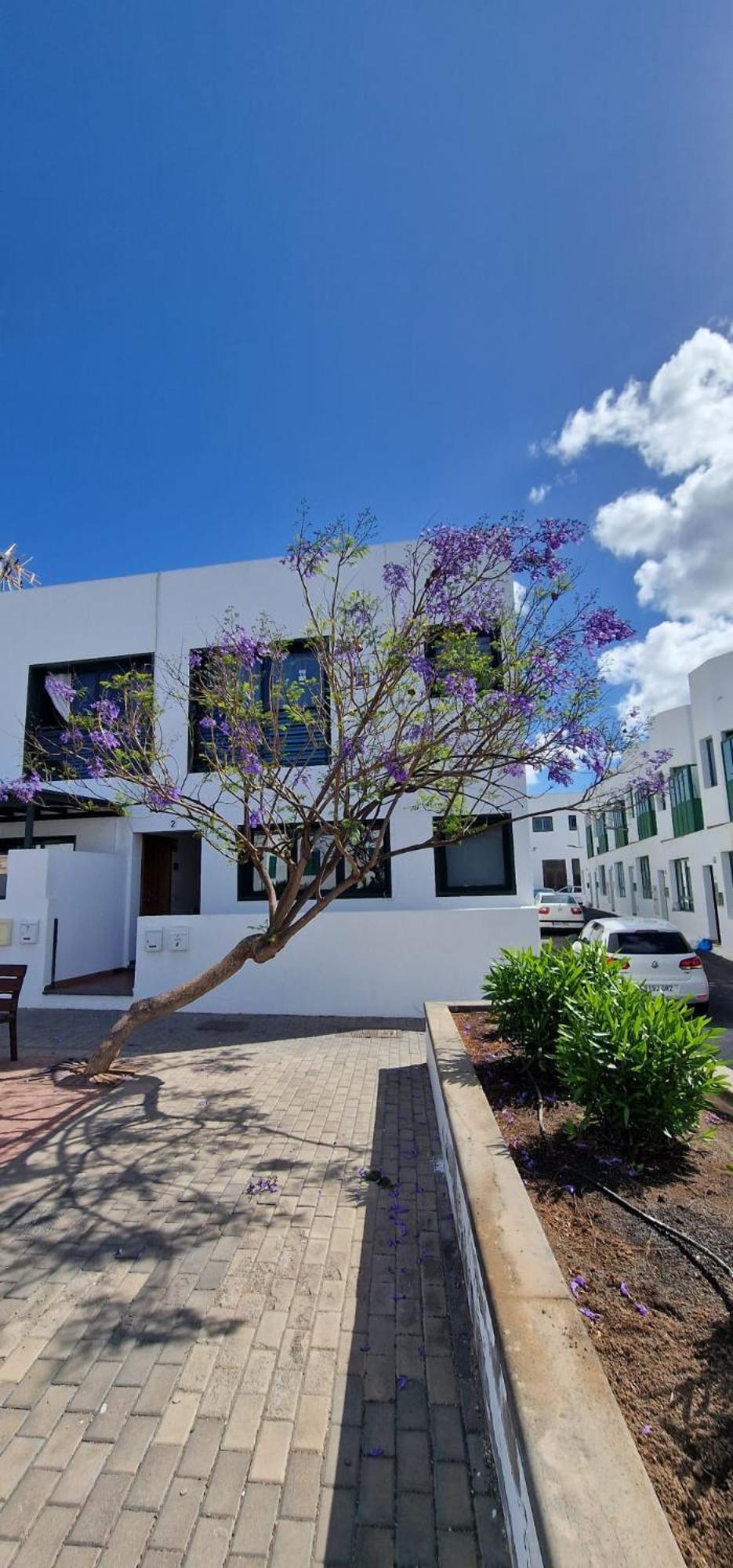 Apartamento Margarita Playa Blanca  Eksteriør billede