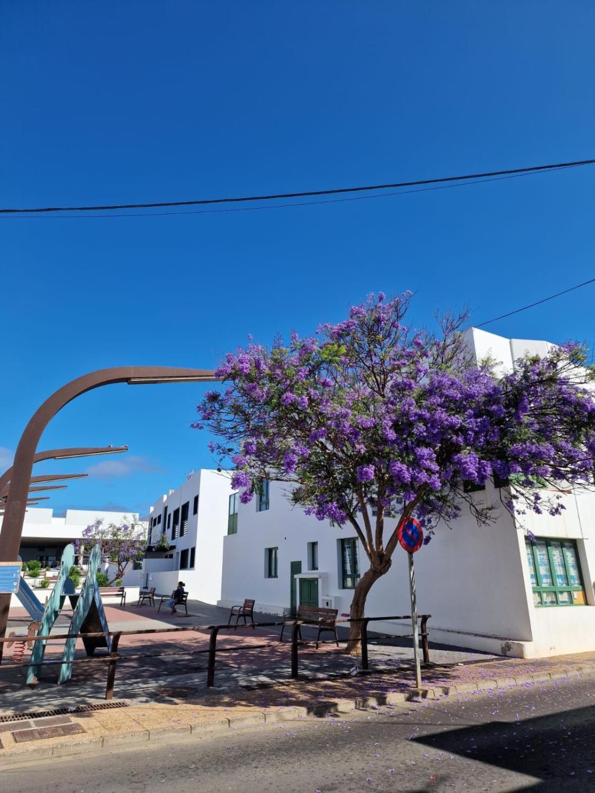 Apartamento Margarita Playa Blanca  Eksteriør billede