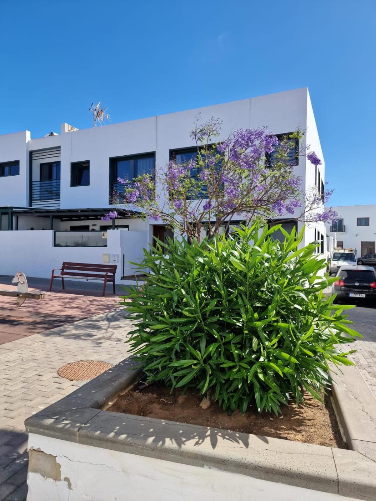 Apartamento Margarita Playa Blanca  Eksteriør billede